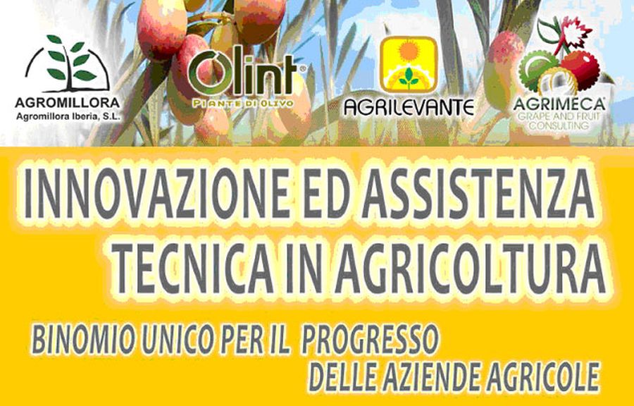 Innovazione e assistenza tecnica in agricoltura: binomio unico per il progresso delle aziende agricole