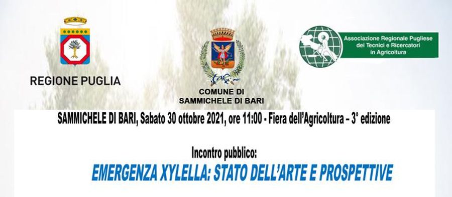 Emergenza Xylella: stato dell’arte e prospettive