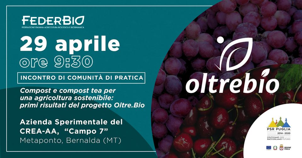Migliorare in maniera efficace e concreta la fertilità biologica del suolo.
