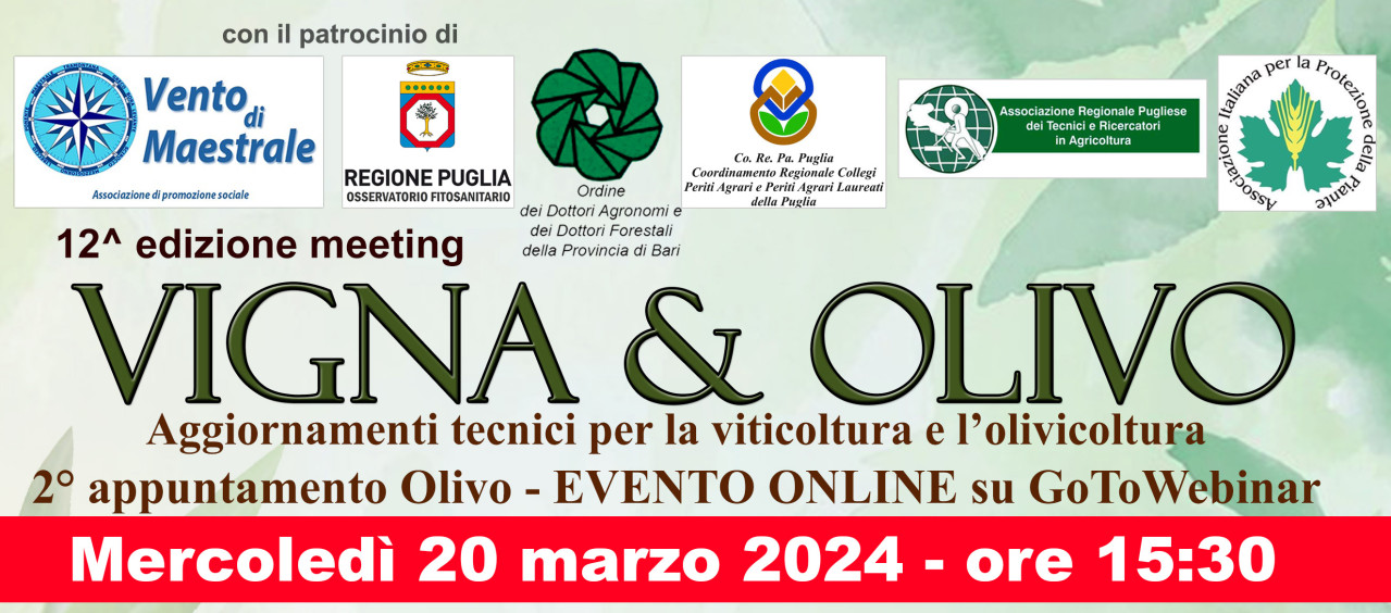 12a edizione del meeting Vigna&Olivo