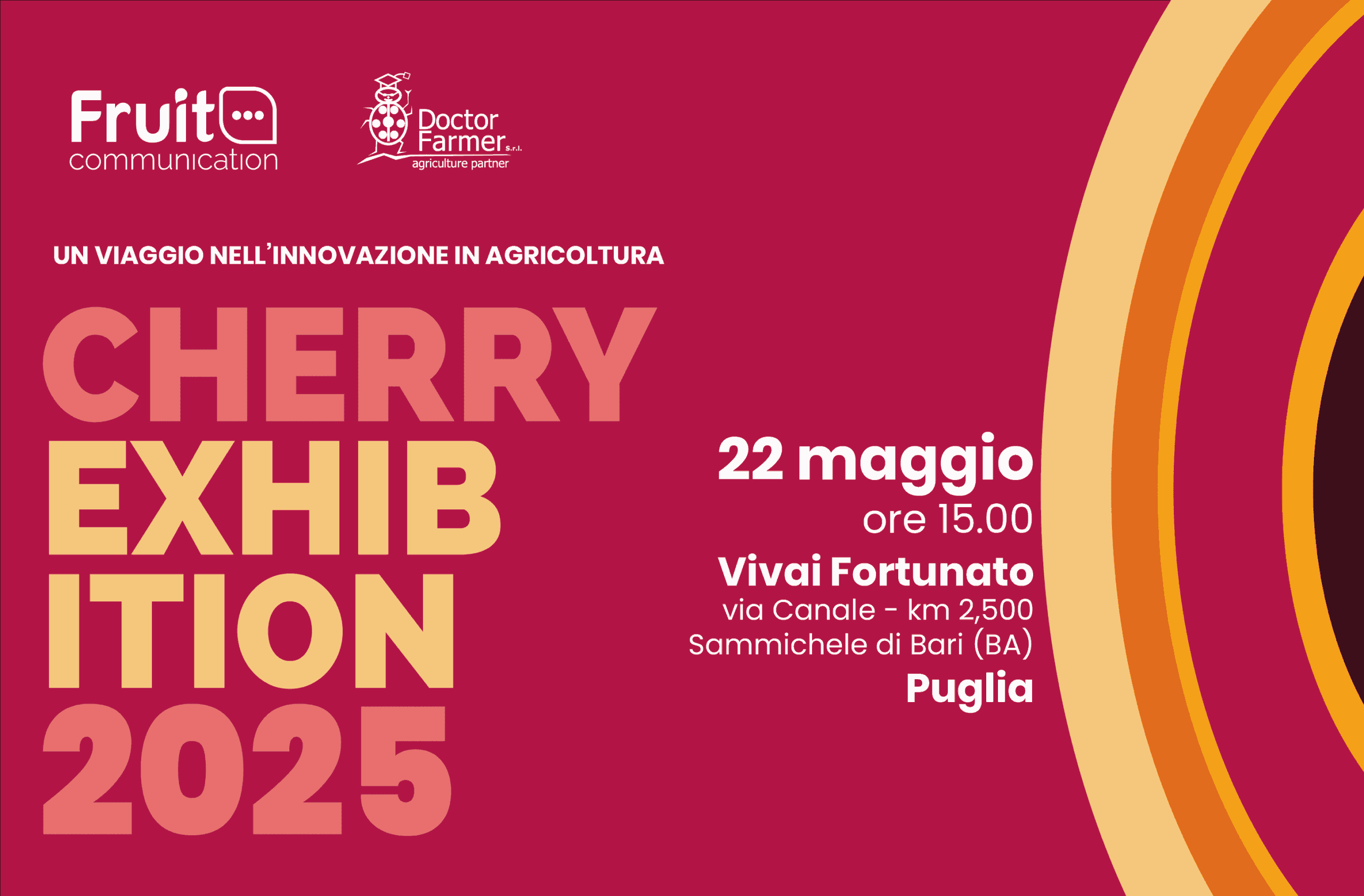 Cherry Exhibition 2025: ciliegie protagoniste in campo.